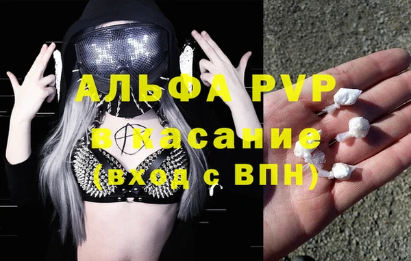 крисы Белокуриха