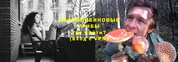 крисы Белокуриха