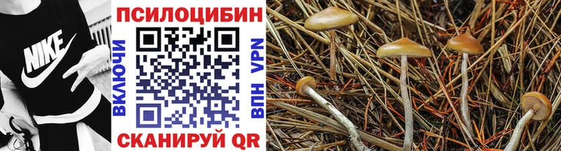 Галлюциногенные грибы мицелий  Назарово 